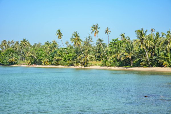 Éco-Aventure : Découvrez les Fjords en Symbiose avec la Nature